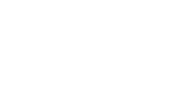 ELVY Logo