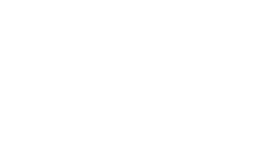 Elvy Logo